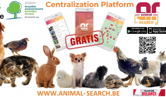 Bandeau de la platform gratuite Animal Search